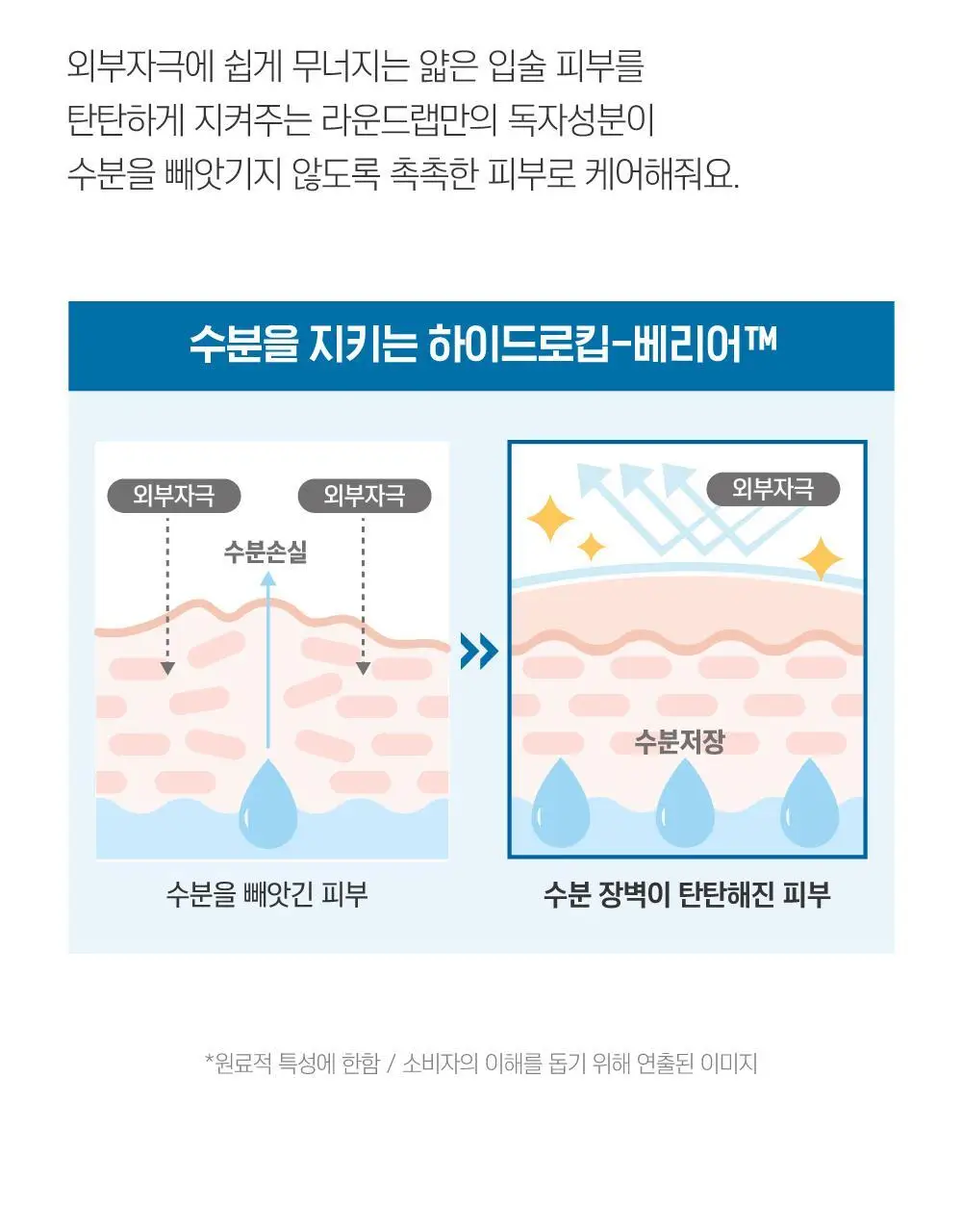 [수분촉촉/민경하 공동개발] 라운드랩 자작나무 수분 립밤 20g 상세페이지 14